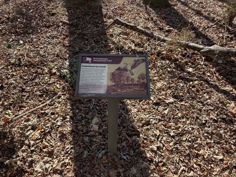 Indentured Servitude Marker. Click for full size. Indentured Servitude Marker image. Click for full size.
