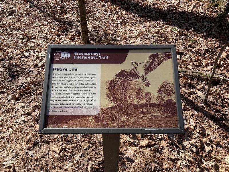 Native Life Marker image. Click for full size.