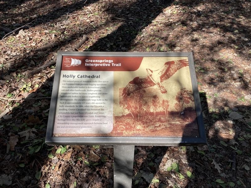 Holly Cathedral Marker image. Click for full size.