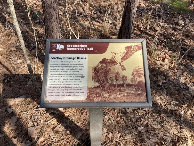 Forebay Drainage Basins Marker image. Click for full size.