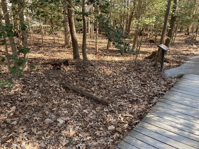 Fallen Tree Marker. Click for full size. Fallen Tree Marker image. Click for full size.