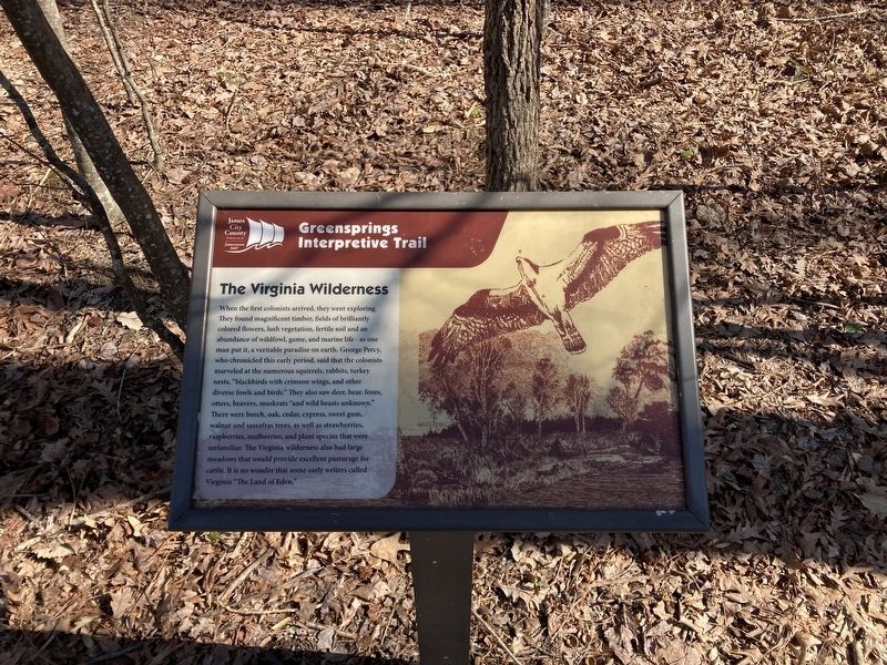 The Virginia Wilderness Marker. Click for full size. The Virginia Wilderness Marker image. Click for full size.