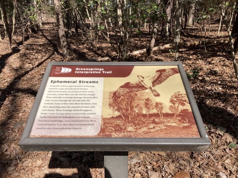 Ephemeral Streams Marker. Click for full size. Ephemeral Streams Marker image. Click for full size.