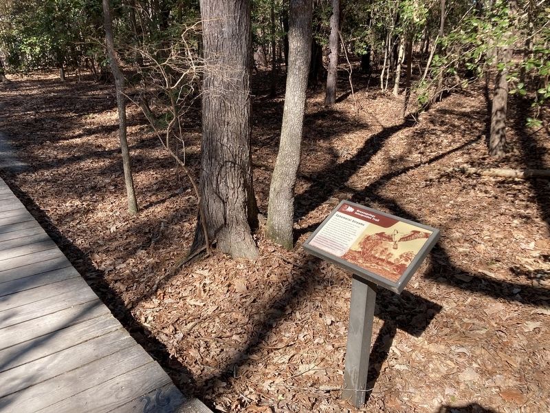 Ephemeral Streams Marker. Click for full size. Ephemeral Streams Marker image. Click for full size.
