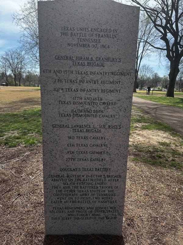 Texas Monument (rear) image. Click for full size.