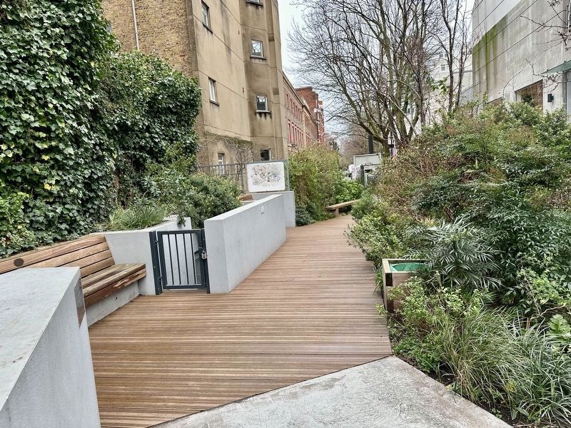 The Marchmont Community Garden. Click for full size. The Marchmont Community Garden image. Click for full size.