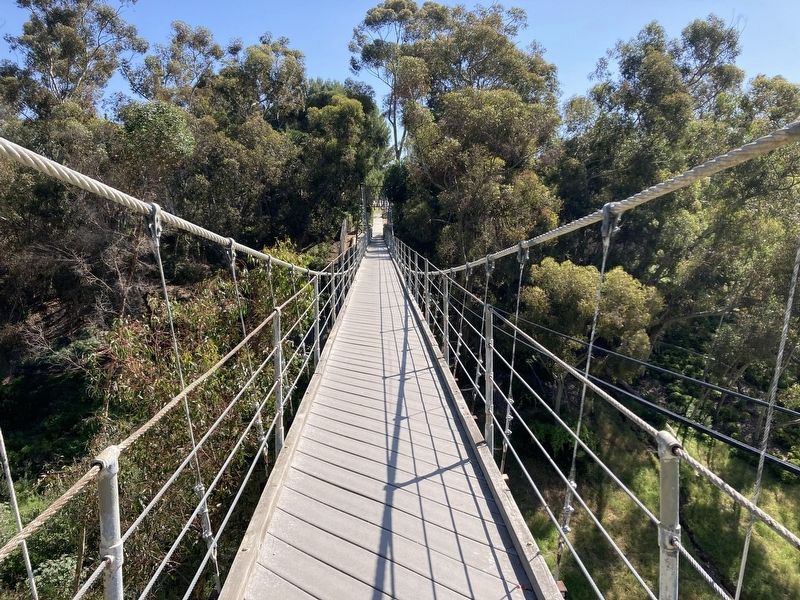 Spruce Street Suspension Footbridge image. Click for full size.