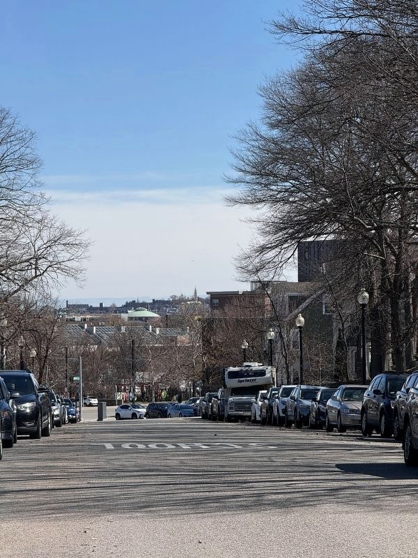 Roxbury Street view of Dorchester Heights. Click for full size. Roxbury Street view of Dorchester Heights image. Click for full size.