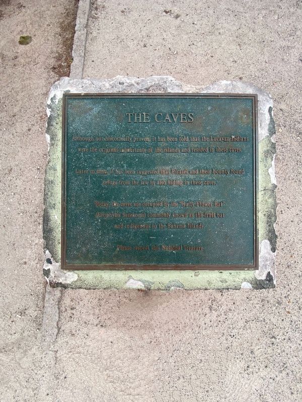 The Caves Marker image. Click for full size.