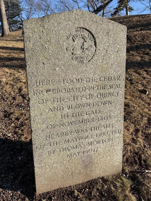 City of Quincy Cedar Marker. Click for full size. City of Quincy Cedar Marker image. Click for full size.