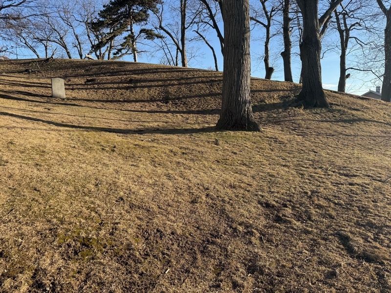 City of Quincy Cedar Marker. Click for full size. City of Quincy Cedar Marker image. Click for full size.