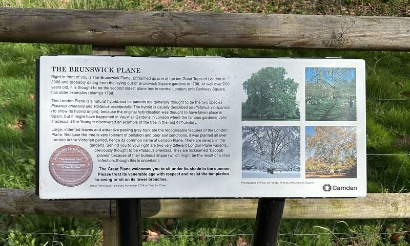 The Brunswick Plane Marker image. Click for full size.