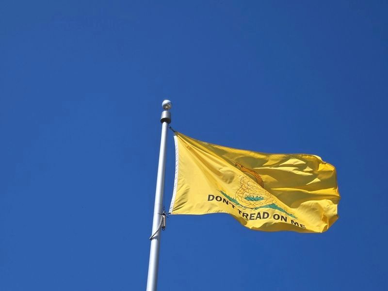 Gadsden Flag image. Click for full size.