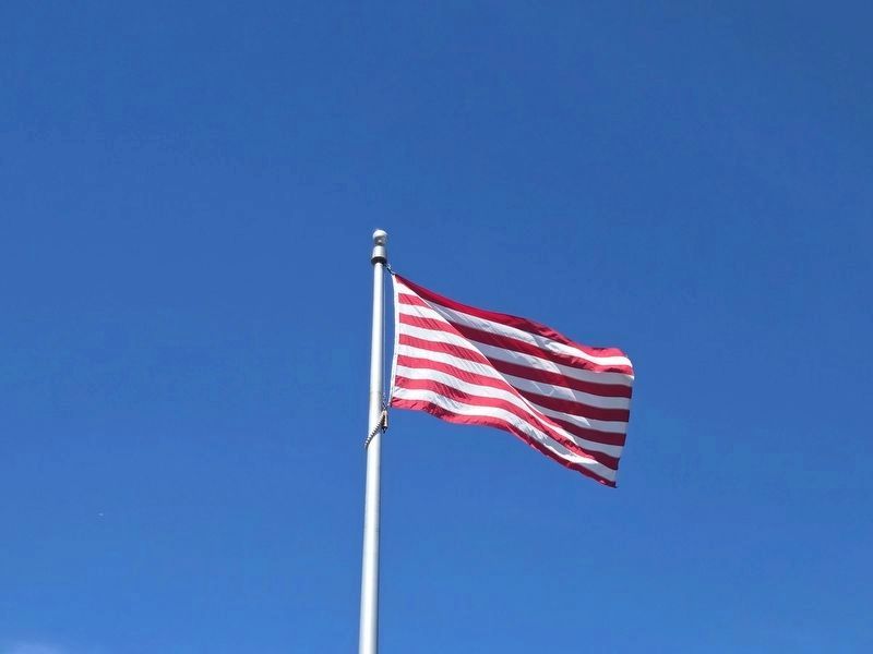 Sons of Liberty Flag image. Click for full size.
