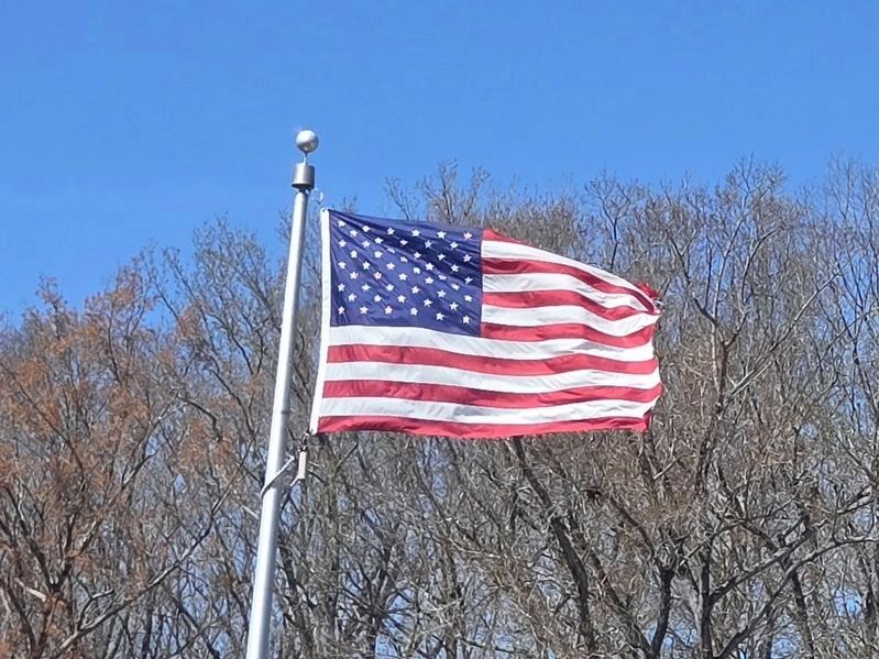 50 Star Flag image. Click for full size.