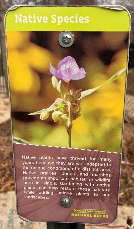Native Species Marker. Click for full size. Native Species Marker image. Click for full size.