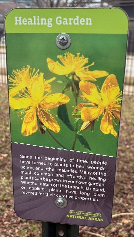 Healing Garden Marker. Click for full size. Healing Garden Marker image. Click for full size.