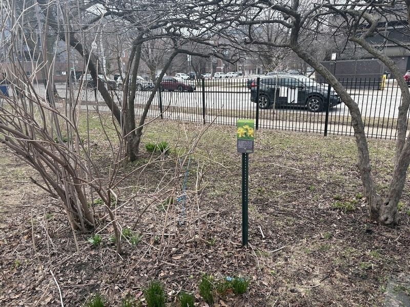 Healing Garden Marker. Click for full size. Healing Garden Marker image. Click for full size.