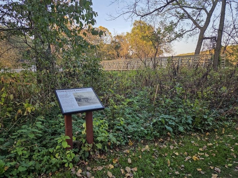 Forestville Sawmill Marker just west of the footbridge over the Root River. Click for full size. Forestville Sawmill Marker just west of the footbridge over the Root River image. Click for full size.