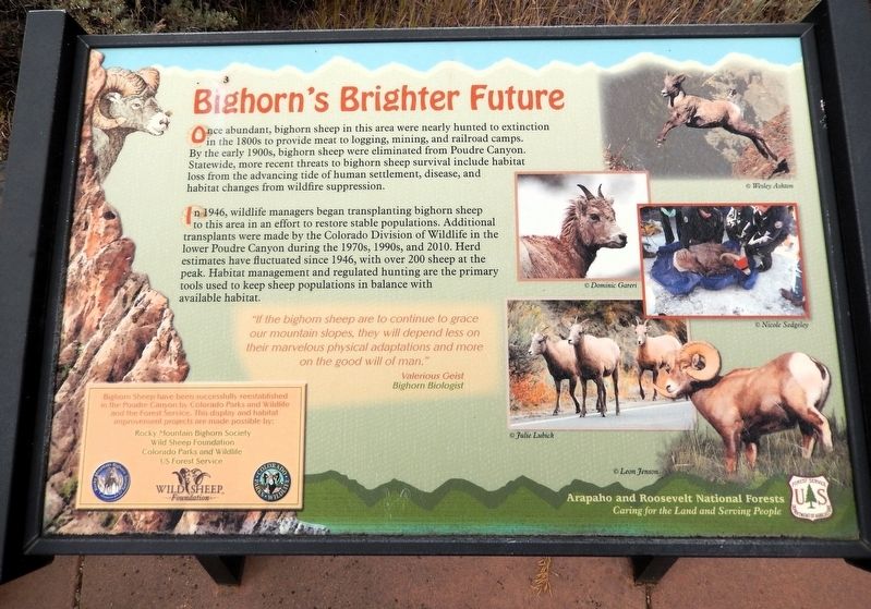 Bighorn's Brighter Future Marker image. Click for full size.