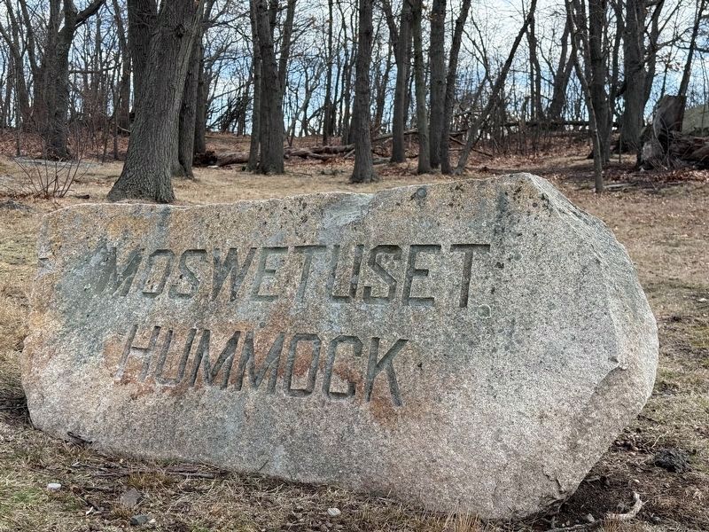 Moswetuset Hummock Boulder at entrance. Click for full size. Moswetuset Hummock Boulder at entrance image. Click for full size.