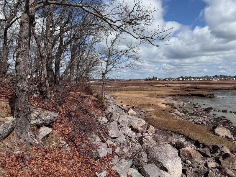 Moswetuset Hummock Wetlands. Click for full size. Moswetuset Hummock Wetlands image. Click for full size.