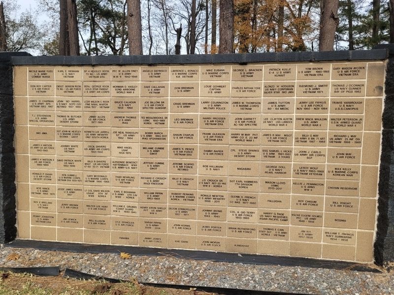 USA Veterans Memorial - Panel 3 image. Click for full size.