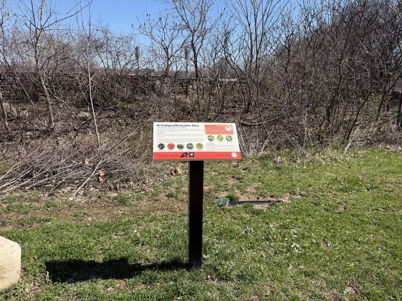 An Ecological Restoration Story Marker. Click for full size. An Ecological Restoration Story Marker image. Click for full size.