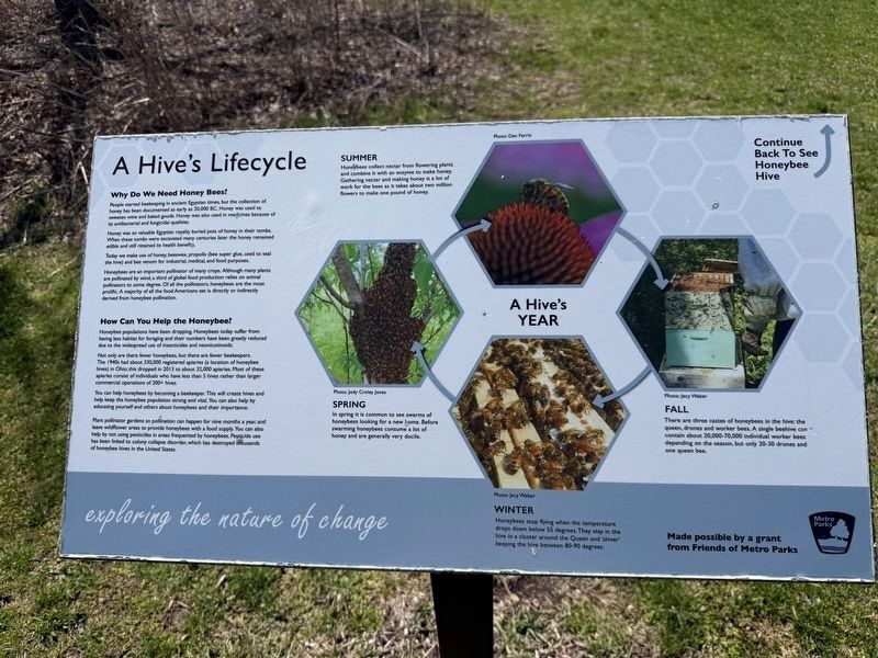 A Hive's Lifecycle Marker. Click for full size. A Hive's Lifecycle Marker image. Click for full size.