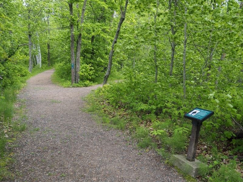 Homeland of the Dakota Marker on the Kathio Landmark Trail. Click for full size. Homeland of the Dakota Marker on the Kathio Landmark Trail image. Click for full size.