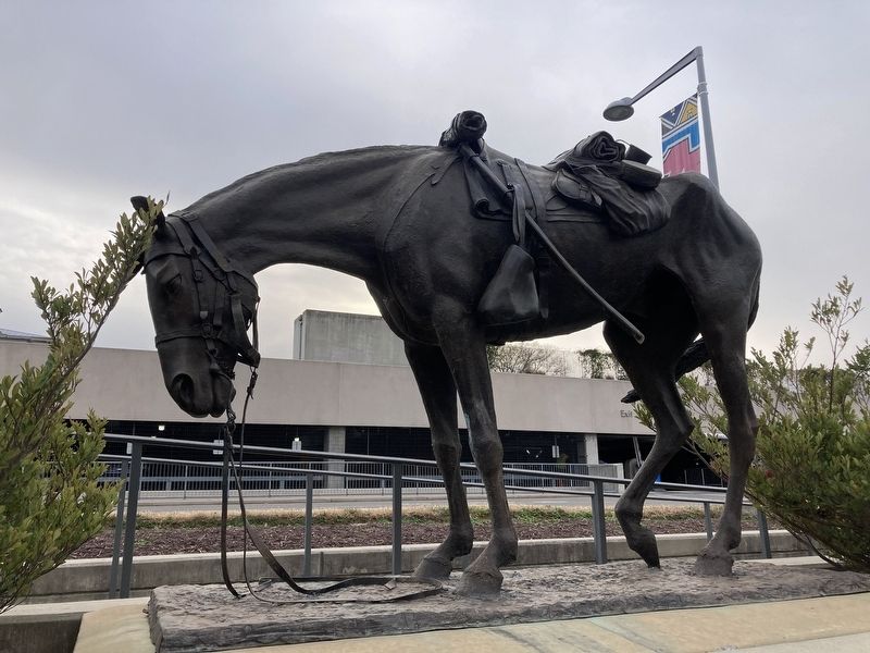 <i>Civil War Horse</i> image. Click for full size.