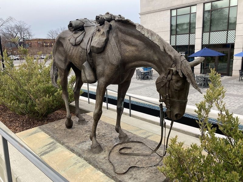 <i>Civil War Horse</i>. Click for full size. <i>Civil War Horse</i> image. Click for full size.