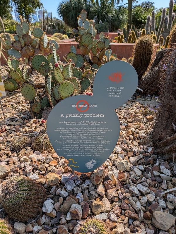 A prickly problem Marker image. Click for full size.