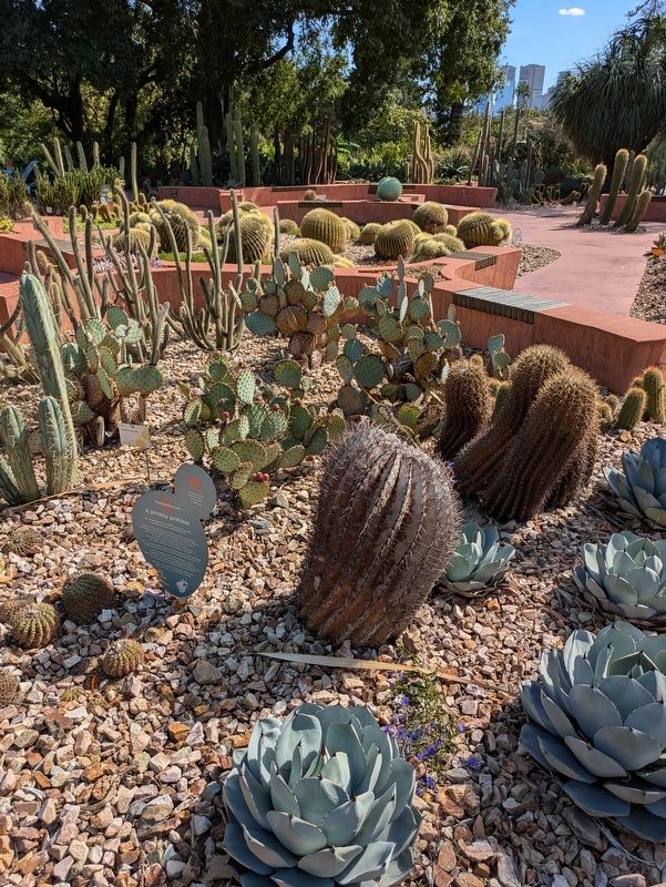A prickly problem Marker in the Arid Garden image. Click for full size.