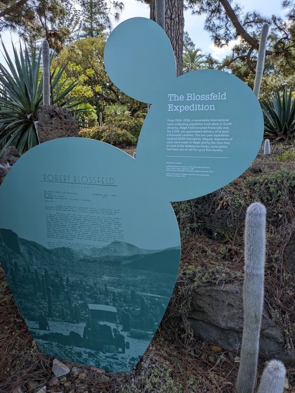 The Blossfeld Expedition Marker. Click for full size. The Blossfeld Expedition Marker image. Click for full size.