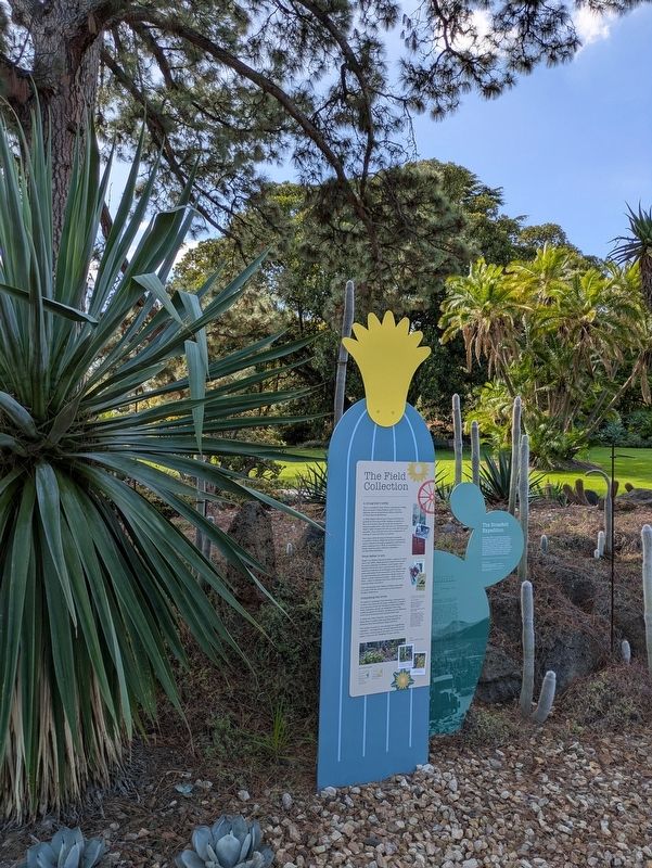 The Blossfeld Expedition Marker in the Arid Garden. Click for full size. The Blossfeld Expedition Marker in the Arid Garden image. Click for full size.