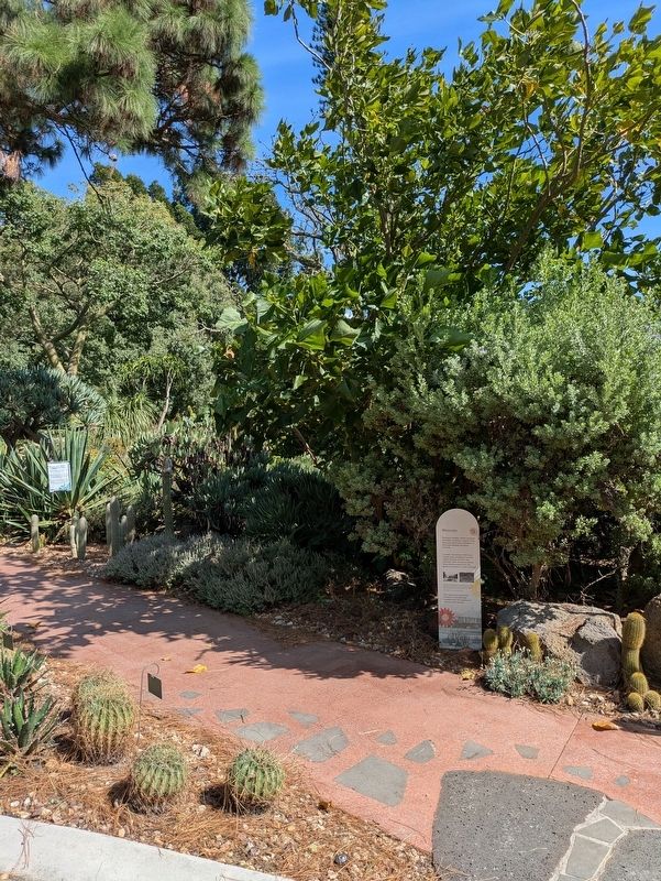 The Arid Garden Marker at the entrance to the Garden. Click for full size. The Arid Garden Marker at the entrance to the Garden image. Click for full size.