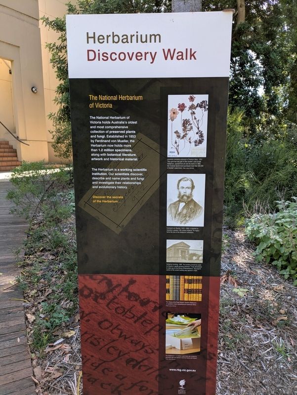 Herbarium Discovery Walk Marker. Click for full size. Herbarium Discovery Walk Marker image. Click for full size.