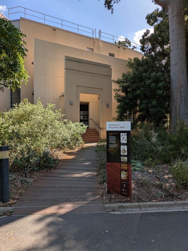 Herbarium Discovery Walk Marker in front of the Herbarium. Click for full size. Herbarium Discovery Walk Marker in front of the Herbarium image. Click for full size.