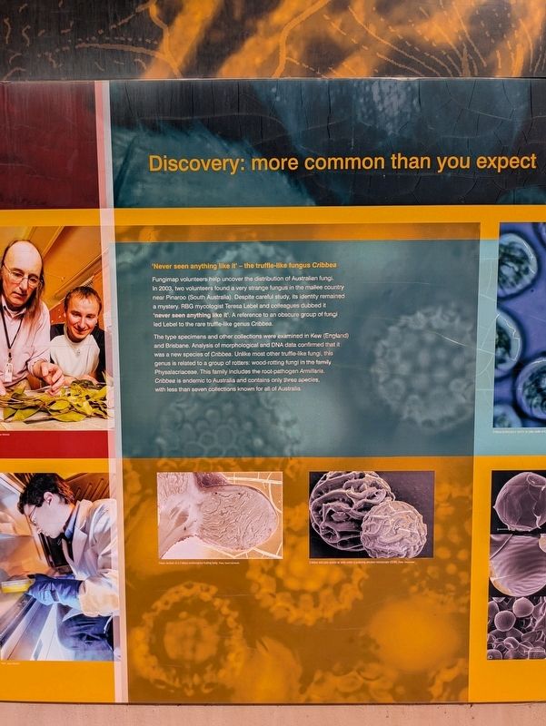 Discovery: more common than you expect Marker. Click for full size. Discovery: more common than you expect Marker image. Click for full size.