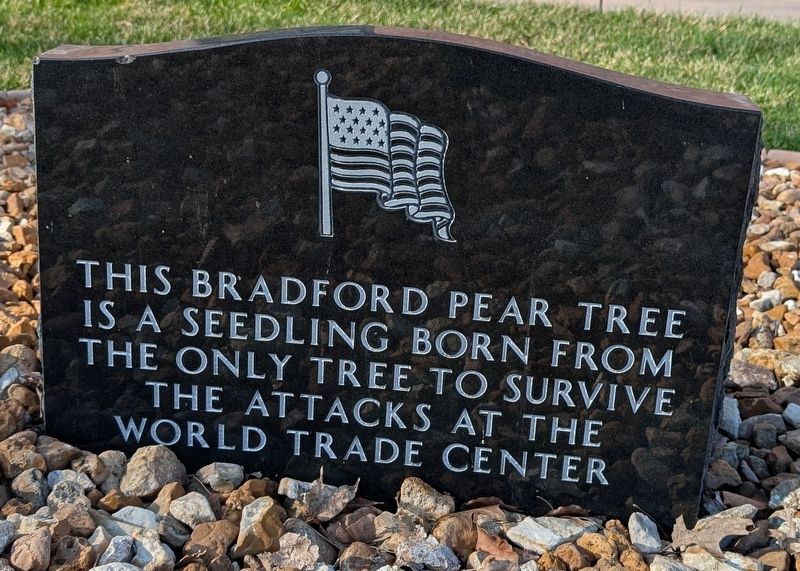 9/11 Survivor Tree Memorial Marker, Side Two image. Click for full size.
