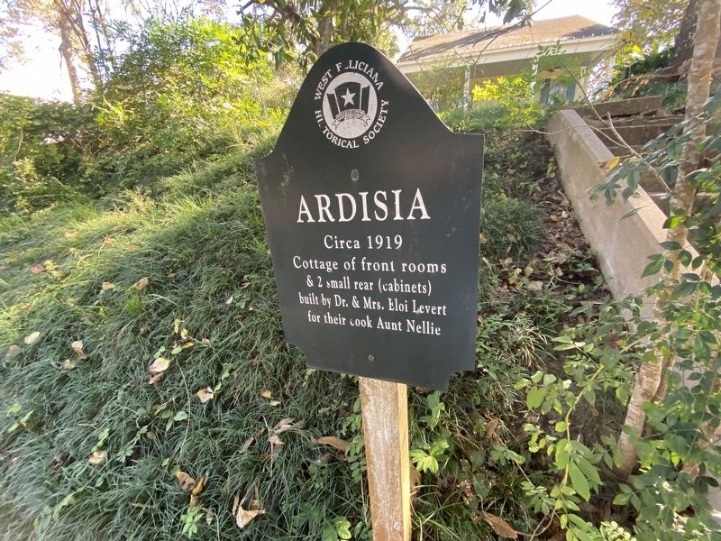 Ardisia Marker. Click for full size. Ardisia Marker image. Click for full size.