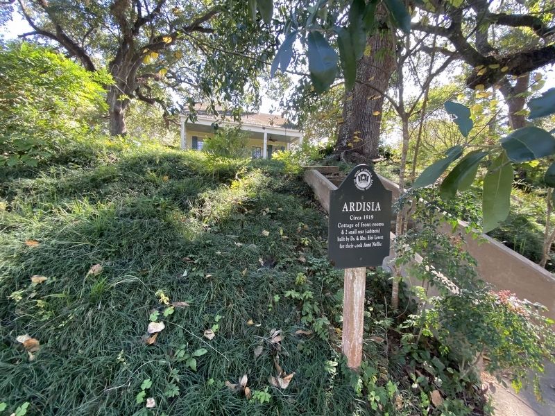 Ardisia Marker. Click for full size. Ardisia Marker image. Click for full size.