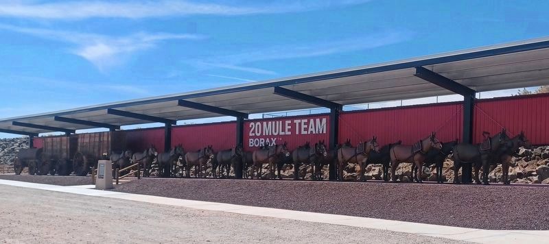Twenty Mule Team. Click for full size. Twenty Mule Team image. Click for full size.