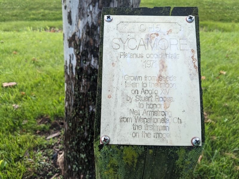 Sycmore Marker. Click for full size. Sycmore Marker image. Click for full size.