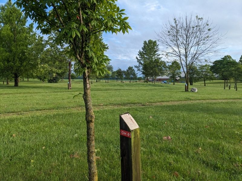 Ohio Buckeye Marker. Click for full size. Ohio Buckeye Marker image. Click for full size.