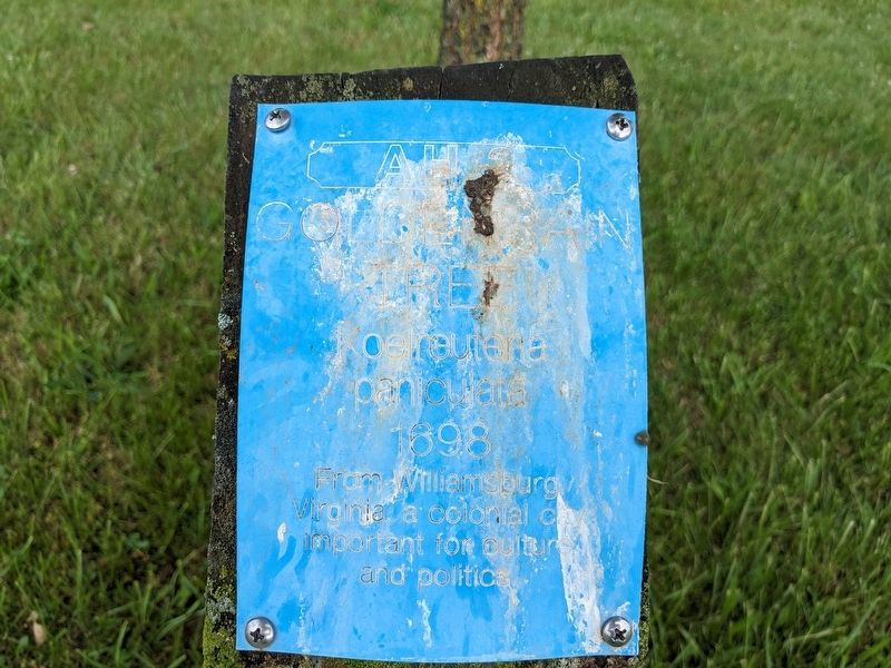Golden Raintree Marker. Click for full size. Golden Raintree Marker image. Click for full size.
