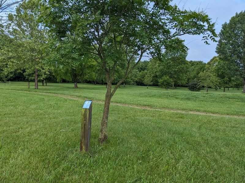 Golden Raintree Marker. Click for full size. Golden Raintree Marker image. Click for full size.