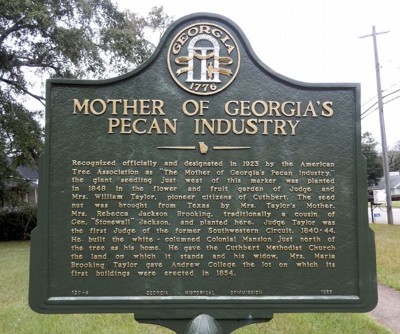 Mother of Georgia's Pecan Industry Marker image. Click for full size.