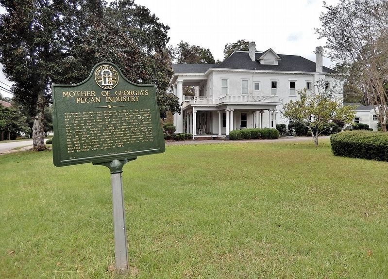 Mother of Georgia's Pecan Industry Marker image. Click for full size.
